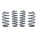 Передний привод RacingLine Sport Springs для VW Tiguan II