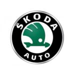 Интеркулер Skoda Octavia 1.8T Оранжевый Fmic.eu