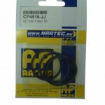 Ремкомплект AP RACING CP4519-JJ для CP5200