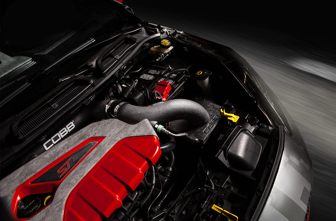 701100_gallery_01 COBB 792101 FORD Fiesta ST Сменный впускной фильтр — изображение 1