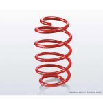 EIBACH F21-25-048-01-RA Single Spring SPORTLINE (задняя d=15,50 мм) для MERCEDES-BENZ C-Class (W206) 2021-