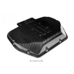 EVENTURI EVE-S62-CF-PLM Карбоновая крышка пленума для BMW E39 M5 и Z8 (S62) — изображение 2