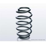 EIBACH F11-20-049-08-RA Одинарная пружина PRO-KIT (задняя d=14,25 мм) для BMW M3 (G81) 2019-
